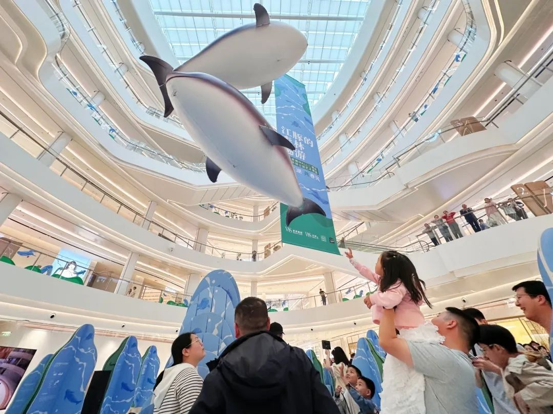 �й���1277�Ǽʵ�����Ϸ(�ɷ����޹�˾)-Official website