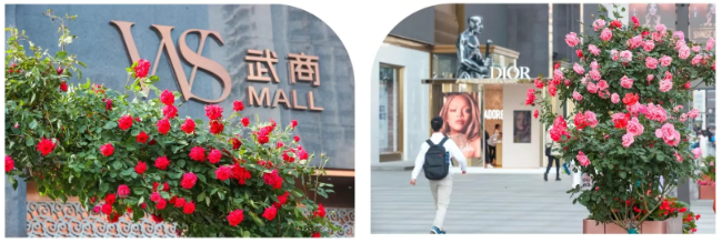 �й���1277�Ǽʵ�����Ϸ(�ɷ����޹�˾)-Official website