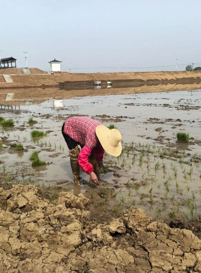 �й���1277�Ǽʵ�����Ϸ(�ɷ����޹�˾)-Official website