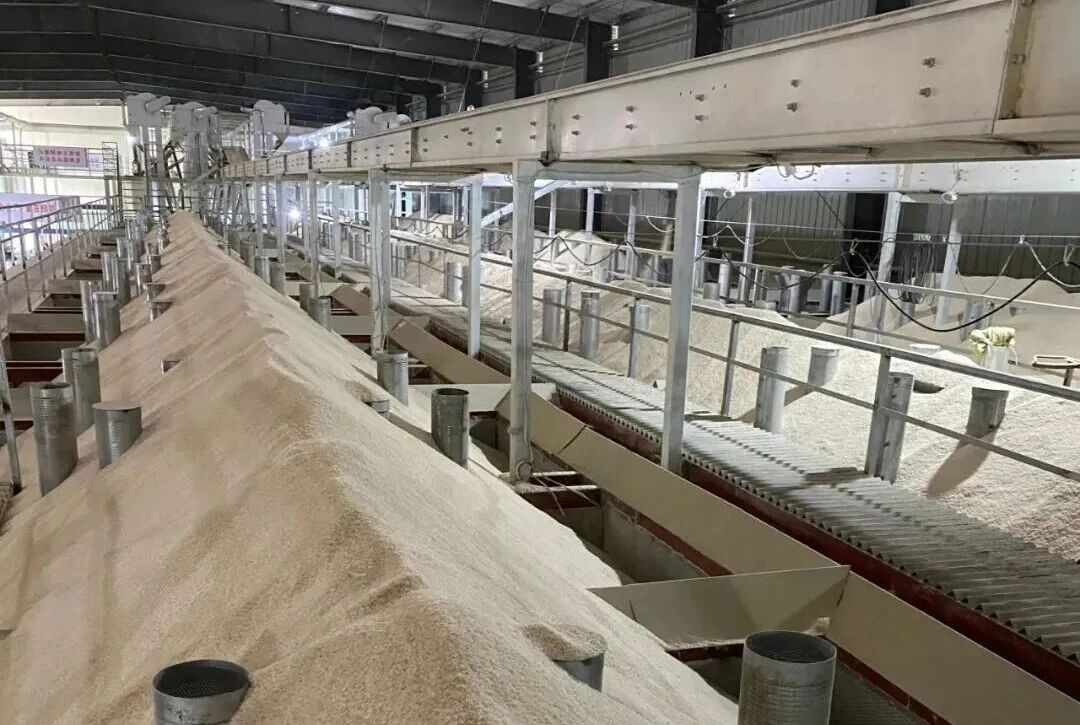 �й���1277�Ǽʵ�����Ϸ(�ɷ����޹�˾)-Official website